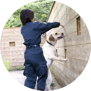 東京税関麻薬探知犬訓練センター 吉田 千春さん