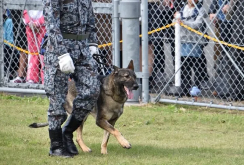 警備犬の訓練士